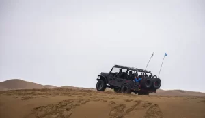 عکاس: بهنام یوسفی